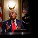 노벨문구 이미지