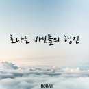 " 호다는 바보들의 행진 " 이미지