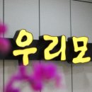 멋쟁이가발 이미지
