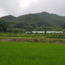 진천농다리공인중개사사무소 이미지