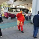 중국 충칭 가볼만한곳, 팬더(판다)를 볼 수 있는 충칭동물원(가는법, 입장료, 소요시간)