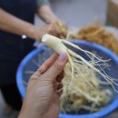 신안인삼사