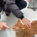 GS25 상주공성점 | 강원도 가족 여행 인제스피디움 패밀리스위트트윈 이용 후기