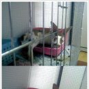 얼큰이네 이미지