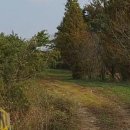 당진 승마장 이미지