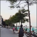 서호 이미지