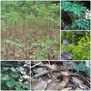 둔일농장 이미지