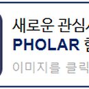피그마리온도서 이미지