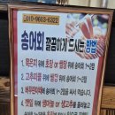 홍천메기매운탕 | 홍천 송어회 원조 비발디송어골 방문후기