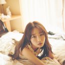 굿밤