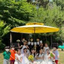 해찬솔 어린이집 | [해찬솔어린이집] 6월 스페셜데이 (Wedding day)