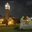 세종대학교 공공정책대학원 이미지