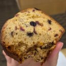 스카이파크호텔 동대문1호점 | 호텔 스카이파크 동대문1호점 스탠다드 더블룸 후기