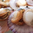 대길수산 이미지