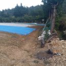 돌산읍사무소 이미지