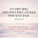 오직 성령의 열매는 이미지