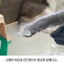 허숙희네 이미지