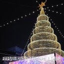 GS25 신포로데오 | 2025년 인천 신포동 크리스마스 트리축제