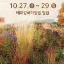 정원에 머물다 이미지