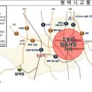 [ 토지매매 ] 삼성 , LG를 안고 전국 최고 투자 유망지가 된 평택시 월곡동 투자용 임야 저렴하게 급매 이미지