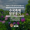 옥현우리마트 | 울산 남구 장생포 수국 페스티벌 방문후기 셔틀버스 시내버스 운행정보