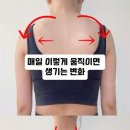 바디업요가