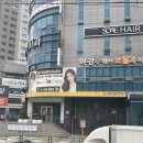 동대구역미용실 SF헤어 퍼스널컬러에 딱 맞아 얼굴에 형광등 켜지는 염색하고 온 후기