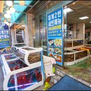 강구신대교 이미지