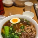 청계천 미쉐린 맛집 🍜 진중 우육면관 내돈내산 솔직후기 + 청계천 2025 빛초롱축제(with 포켓몬)