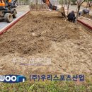 하남중앙초등학교 이미지