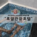 하와이모텔 - 양평군 강남로 383-1 | 경남 창녕 부곡하와이 로얄관광호텔 36개월 미만 아기랑 공휴일 평일 대실시간 패밀리룸 후기