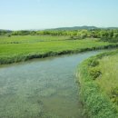 비봉인공습지 이미지