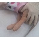 뉴월드 동물병원 이미지