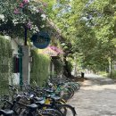 아이요(EYE YO) | 발리(BALI)｜길리 맛집 여러곳 소개 "잘리키친(Jali Kitchen)/수미사테(SUMISATE)/레지나피자/펄오브...