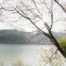 다시면사무소 이미지