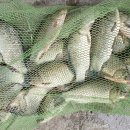 여수낚시터 이미지