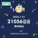 [스페인/포르투갈] ep9. 리스본 시내 뿌수기, 포르투 전통음악 파두(fadu)는 최고!