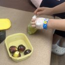 짱짱이네김밥 이미지