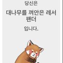 CREMA 이미지