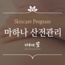 피우다 꽃 스킨바디 이미지