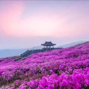 황매산장대 이미지