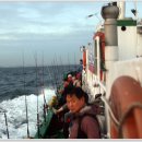 연안유선 이미지