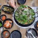 비래흑염소