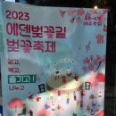 [서울근교 여행지 추천/ 가평 여행코스 추천] 사람 적은 곳에서 벚꽃 보고 힐링했던 가평 1박2일 여행...