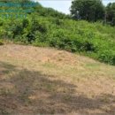 개야리 마을회관 이미지