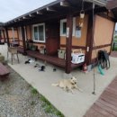 금복 펜션 이미지