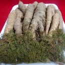 주주리농장 이미지