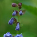 회센타 삼거리슈퍼 이미지