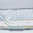 롤로(Rollo) 이미지