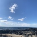 #5. 꿈만 같던 여름 휴가:3박 4일 제주도 여행1탄🌿🌊